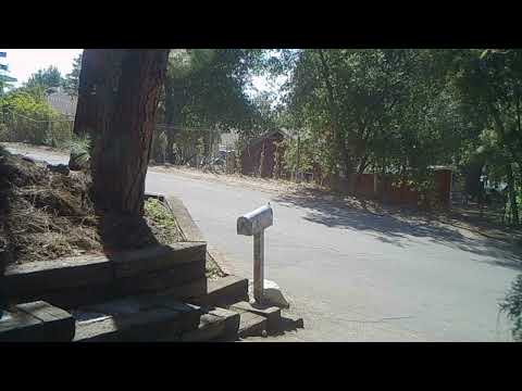 BooBoo Bear Heads Out 10 9 22 1120 am