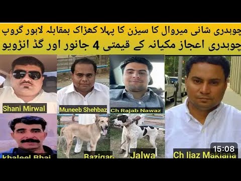 Top Class Bully Breed Dog Name Jalwa and Bazigar Owner Ch Ijaz Makiana of Gujrat US