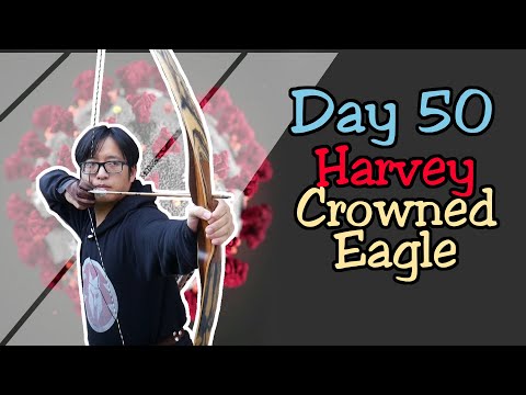 Quarantine Archery Day 50: Harvey Crowned Eagle