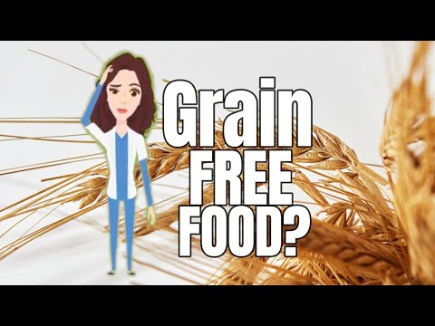 Should you feed Grain Free food?: Why they may make your pet sick