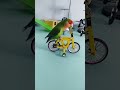 Parrot Learns To Ride A Bike Shorts Youtubeshorts