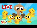 Super Simple Songs LIVE Kids Songs Super Simple Songs