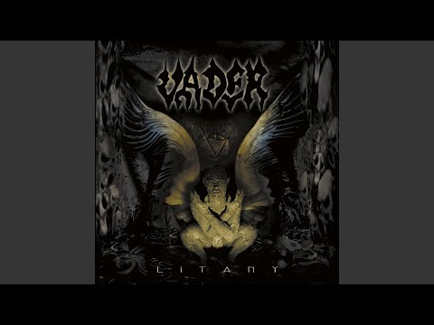 Wings - Vader