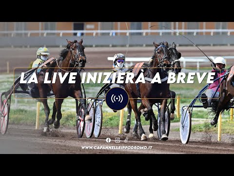CAPANNELLE CORSE AL TROTTO 3 DICEMBRE 2022