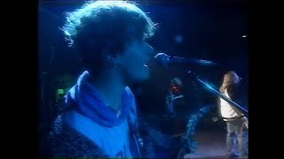 The Boo Radleys live in Sheffield 1991 (Granada TV NeW sessions)