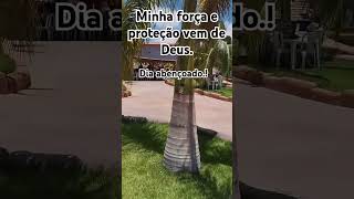 #fé #oração #deustemumapalavrapravoce