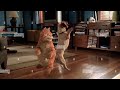 Garfield The Movie 2004 Hey Mama Dance Garfield And Odie Scene