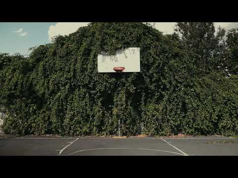 CVGEBIRD - Illusions - FRIDA TRAP Promo