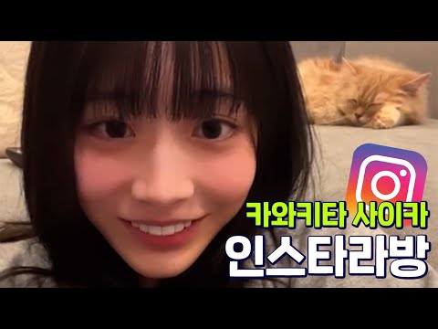 아이콘