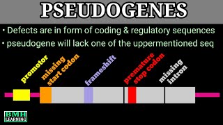 Pseudogenes | What Are Pseudogenes | Junk DNA |