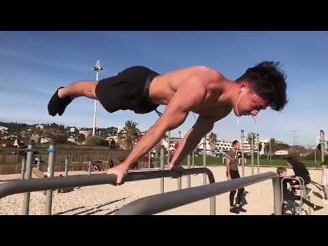 👑 THE KING OF MALTESE 💪