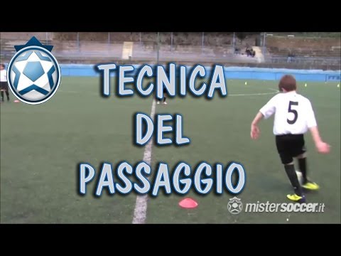 Little Friends Training - 04 - Passing Technique