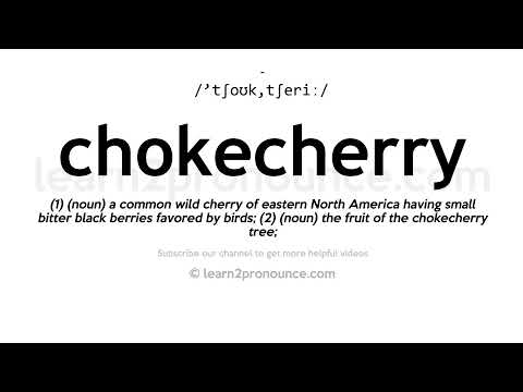 How to pronounce Chokecherry | English pronunciation