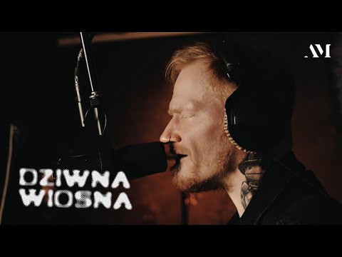 Dziwna Wiosna - Miłość bez końca (Live Session)