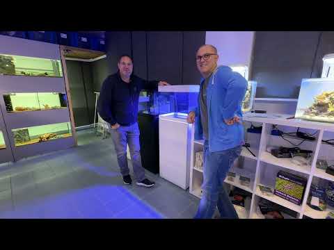 Perfekter Start ohne Abschäumer – Teil 4 von 5 der neuen Fish and More Reihe.