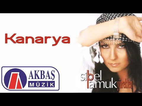 Video Yükleniyor...