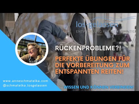 Von dem, was die Lenden und Nieren weh tut Wunden Rücken zieht den unteren Rücken