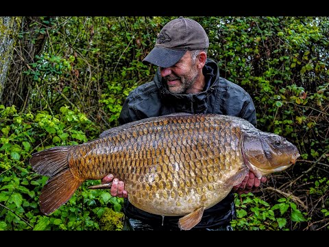 Farriers Lake's biggest CARP!