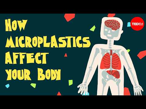 How Microplastics Get Inside You