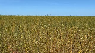 Tour virtual da propriedade