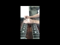 "Pretty Little Adriana" Pedal Steel Solo