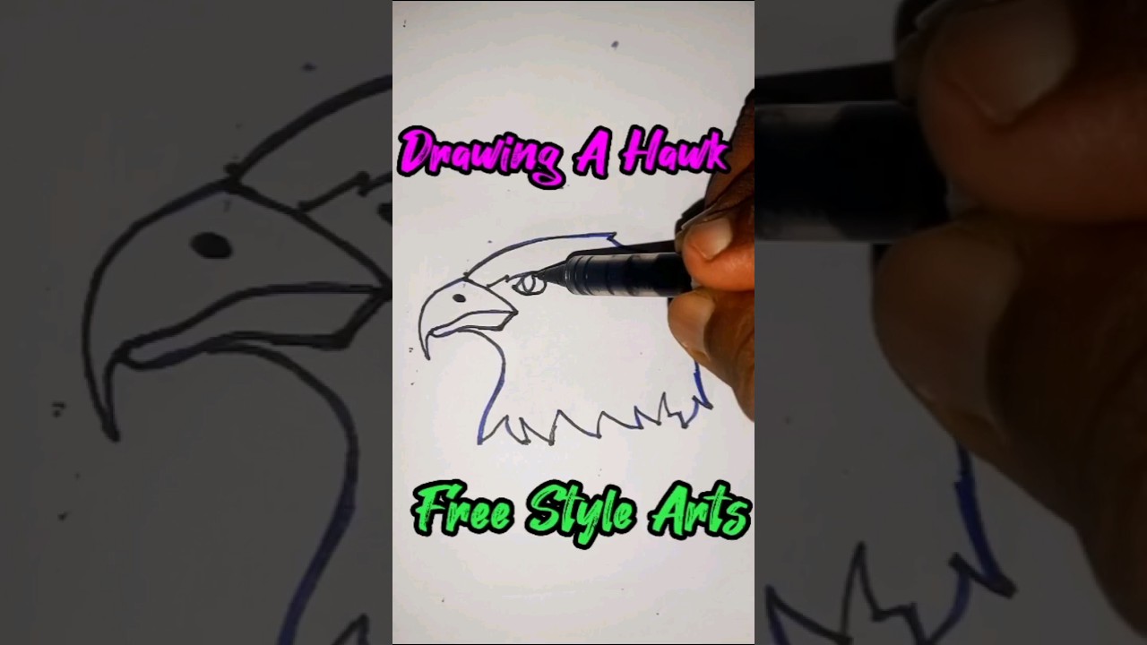 😮 Drawing A Hawk 🖤❤️| Simple & Easy Drawings 😍 | Free Style Arts 🎨🖌️
