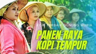 Download lagu Panen kopi sehari bisa dapat motor 2unit‼️🤑🤑 mp3