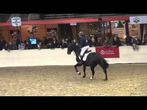 Air Jordan Z (webstallions.com)