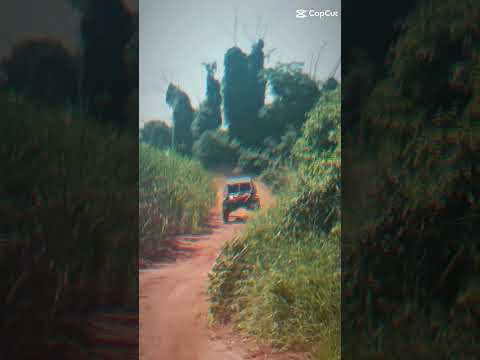 #utv #copanorteparanáutv#rally copa Norte Paraná UTV #Jaguapitã