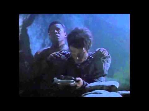 The first Federation-Romulan co-venture