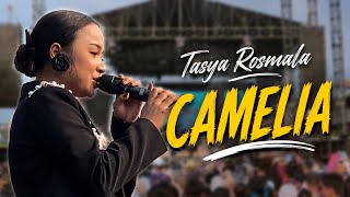 Download lagu FULL SAWERAN !! TASYA ROSMALA - CAMELIA | NEW PRIMA EGA mp3 Download lagu FULL SAWERAN !! TASYA ROSMALA - CAMELIA | NEW PRIMA EGA mp3