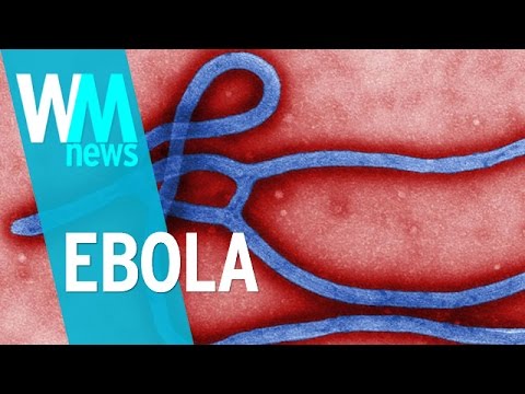 10 Ebola Facts – WMNews Ep. 2