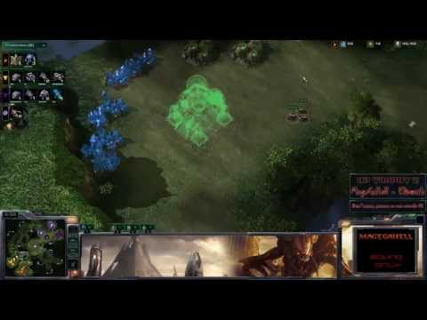 HP Trophy 2 : MǂDayshi (T) + AiReaL (P) VS AcerBly (Z) + AcerNerchio (T) - 02