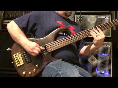 Modulus Q5 lined fretless 1999 figured Walnut top image 11