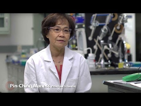 再生可能な水素への道 (Pathways to Renewable Hydrogen)