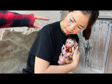 Mother protects baby monkey Tina from the actions of strangers
