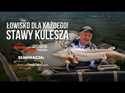 Commercial fishing for everyone! "Stawy Kulesza"