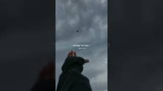 Download lagu sabar Karo sab kuch acha hoga || sad shayari status #shorts #youtubeshorts #youtubevideo #trending mp3 Download lagu sabar Karo sab kuch acha hoga || sad shayari status #shorts #youtubeshorts #youtubevideo #trending mp3