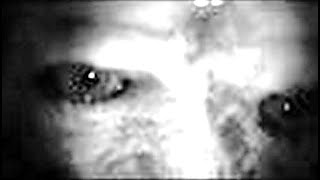 When He Looked Through His Trail Camera He Couldn&#39;t Explain What It Had Captured