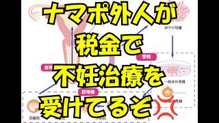 外国人の生活保護悪用の実態　自民党の皇室に対する不敬💢　外国人問題ニュース　オオタシュン