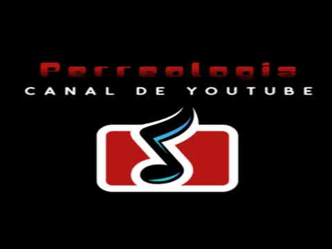 Owen Breeze ft Pongo Love - Vida Loka!!