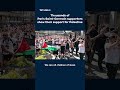 Thousands Of PSG Fans In Germany S Munich Show Their Support For Palestine