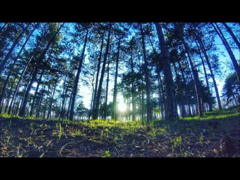 Белега - Спри и благодари