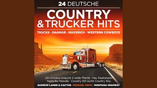 Ein Cowboy braucht 2 wilde Pferde