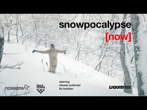 Flo Bastien & Nikolai Schirmer I Snowpocalypse [now]