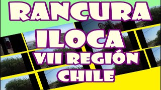 preview picture of video 'Rancura Iloca Séptima Región de Chile (primera parte)'