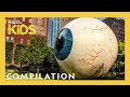 Wackiest Places Around The World 10 Minute Compilation Nat Geo Kids