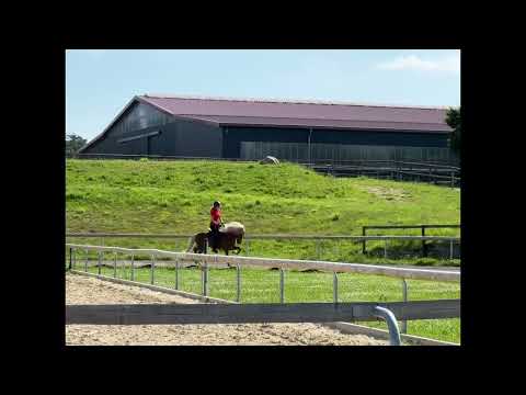 Prímus vom Kronshof