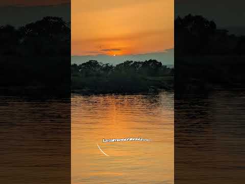 Magia al atardecer 🌅