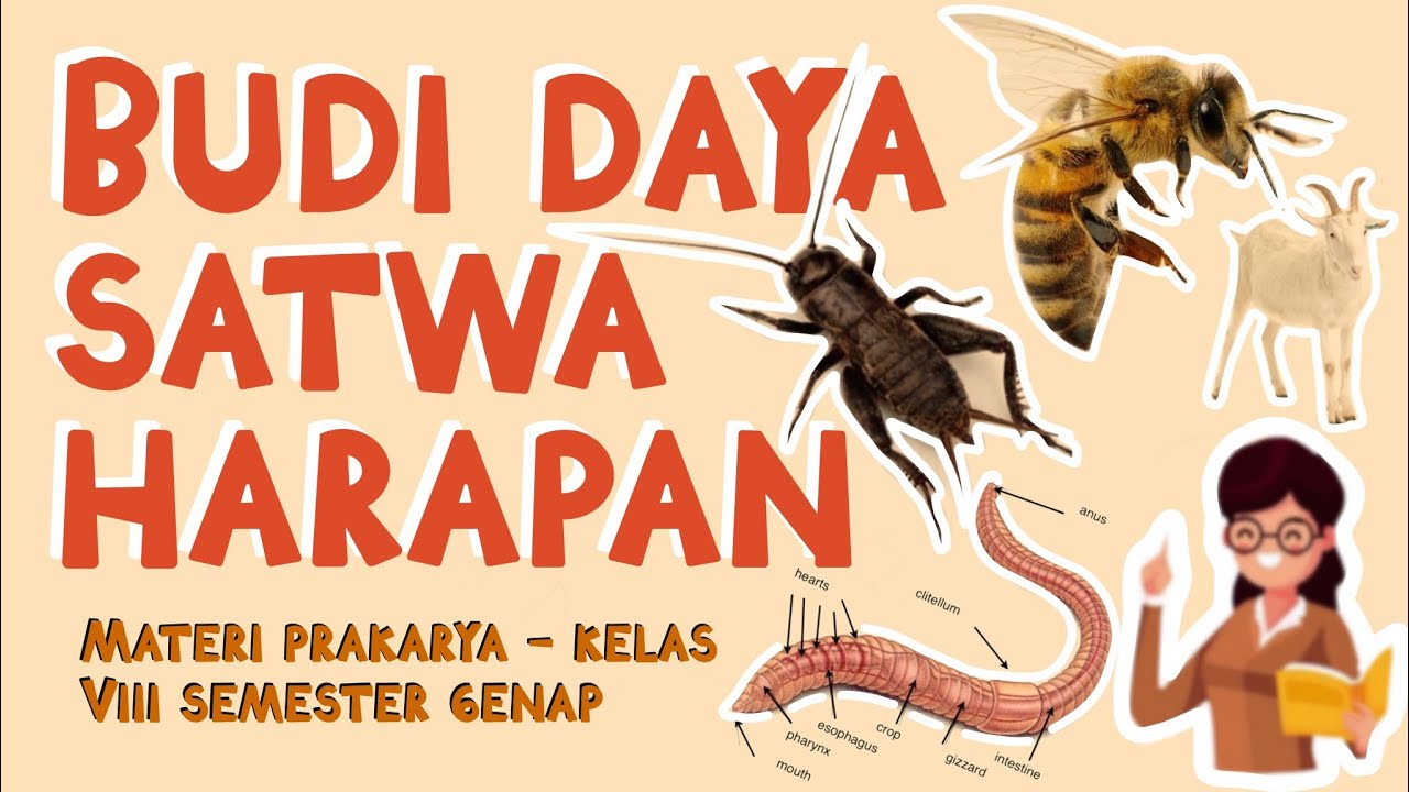 BUDI DAYA SATWA HARAPAN - MATERI PRAKARYA BUDI DAYA KELAS 8 SEMESTER GENAP